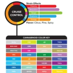 3Chi True Strains Cannabis 2ml Pod–Cruise Control (Hybrid)