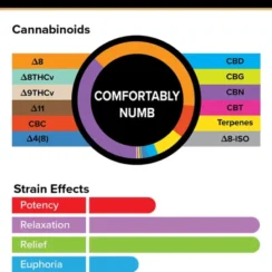 3Chi True Strains Cannabis 2ml Pod–Comfortably Numb (Indica)
