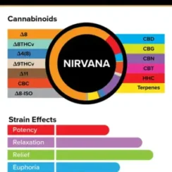 3Chi True Strains Cannabis 2ml Pod–Nirvana (Indica)