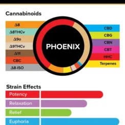 3Chi True Strains Cannabis 2ml Pod–Phoenix (Sativa)
