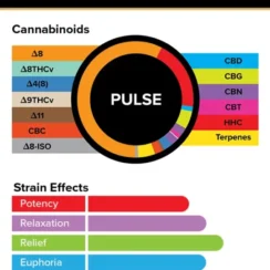 3Chi True Strains Cannabis 2ml Pod–Pulse (Indica)