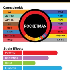 3Chi True Strains Cannabis 2ml Pod–Rocketman (Sativa)