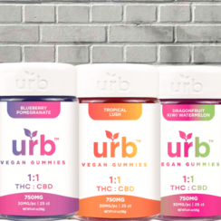 Urb 1:1 Delta 9 THC + CBD Gummies 750mg